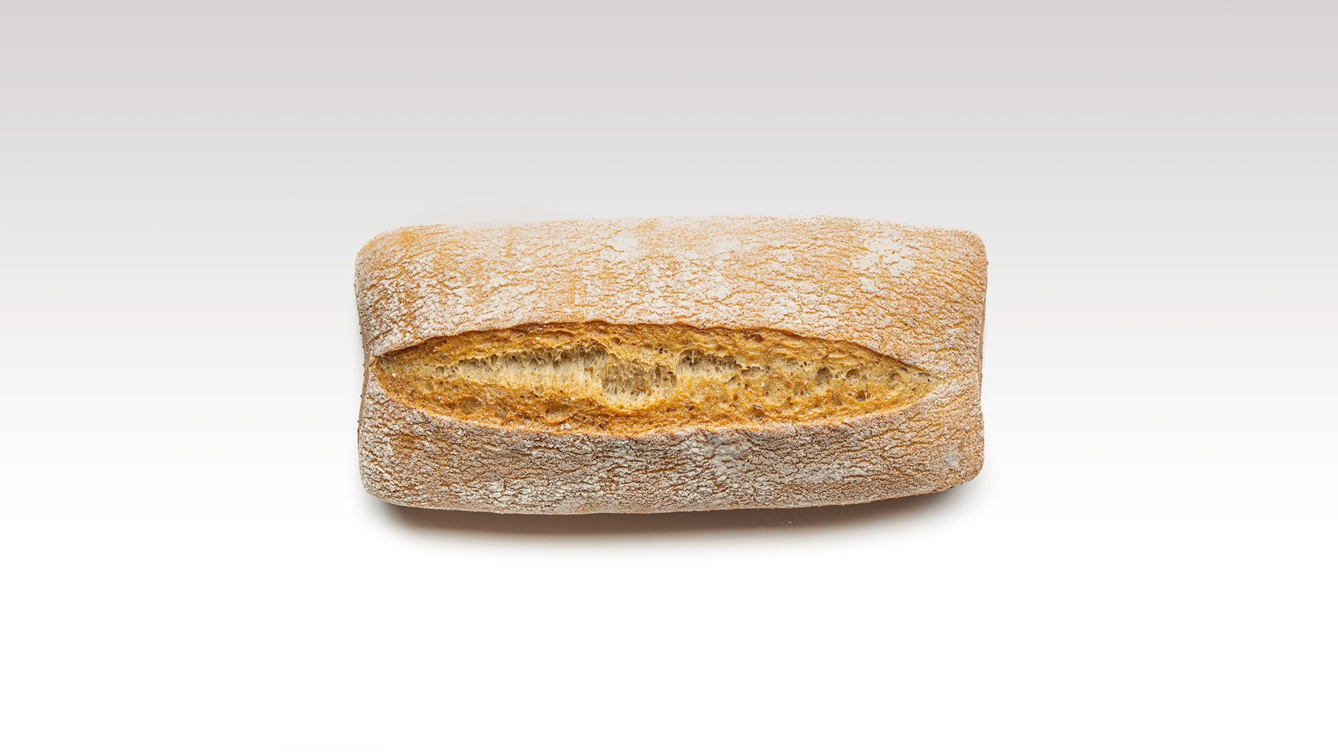 1173_ciabattina_rustica