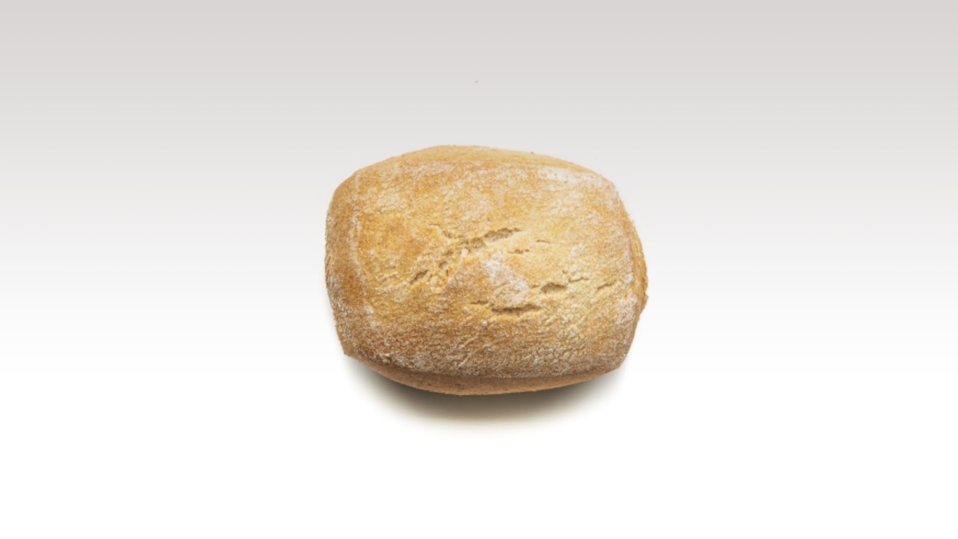 1183_bocconcino_germe_di_grano